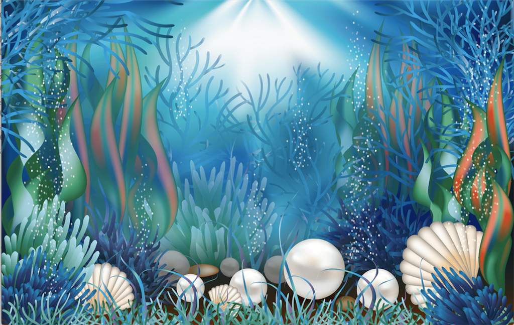 Photography Background Under The Sea Underwater World Turtle Coral Ree –  dreamybackdrop