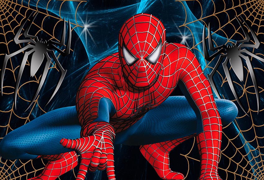 Custom Spiderman Photo Backdrop Banner