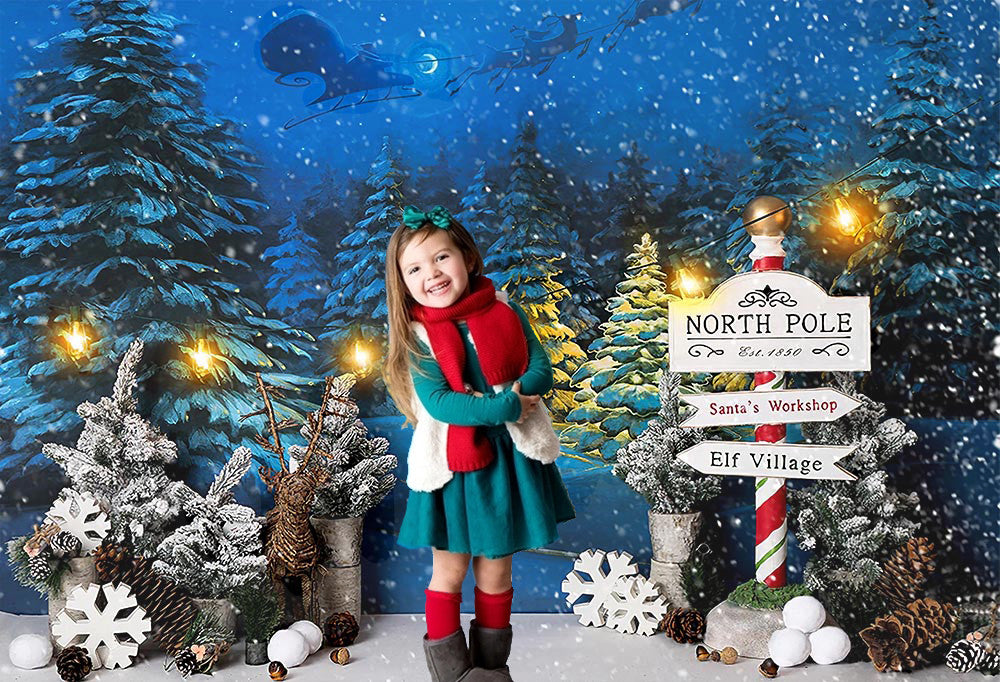 Fondo de Navidad, invierno, nieve, noche, Papá Noel, Reno, árboles, accesorios de estudio fotográfico, papel tapiz de Año Nuevo, decoración de fiesta familiar