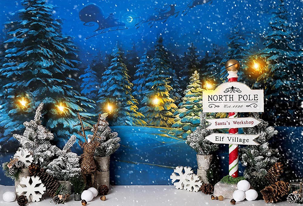 Fondo de Navidad, invierno, nieve, noche, Papá Noel, Reno, árboles, accesorios de estudio fotográfico, papel tapiz de Año Nuevo, decoración de fiesta familiar