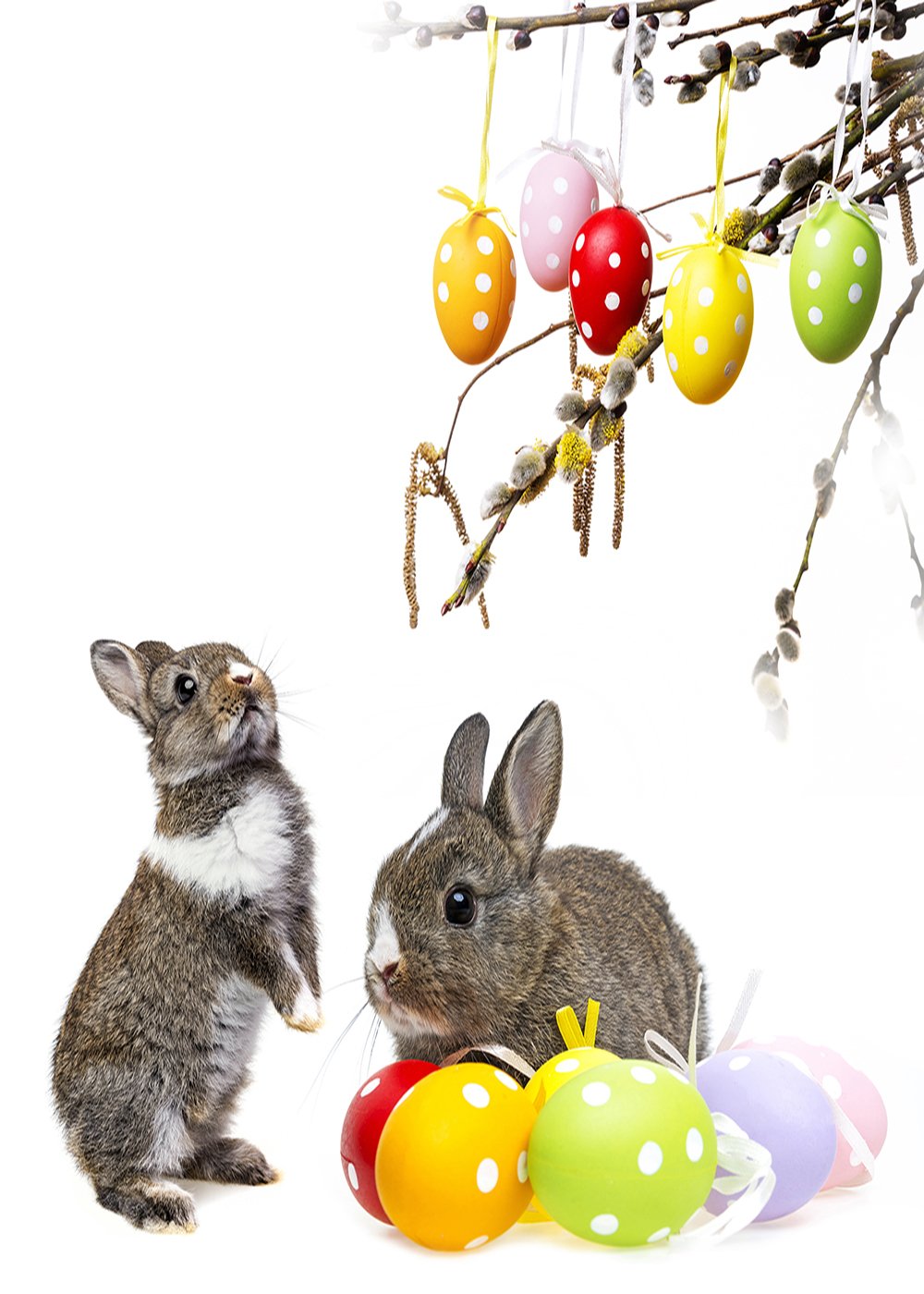 easter theme backdrop Easter egg rabbit background for photography studio home party decor kids photo background vinyl