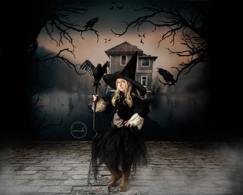 Arrière-plan d'horreur pour Halloween, vieux arbres, corbeau, fête d'anniversaire, photographie, château, bâtiment, lac, sorcière maléfique, Studio Photo