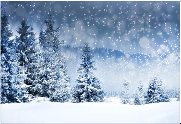 Winter Backdrops Forest Bokeh Photographic Background Snow Flake Photographic Backdrops for Photo Studio