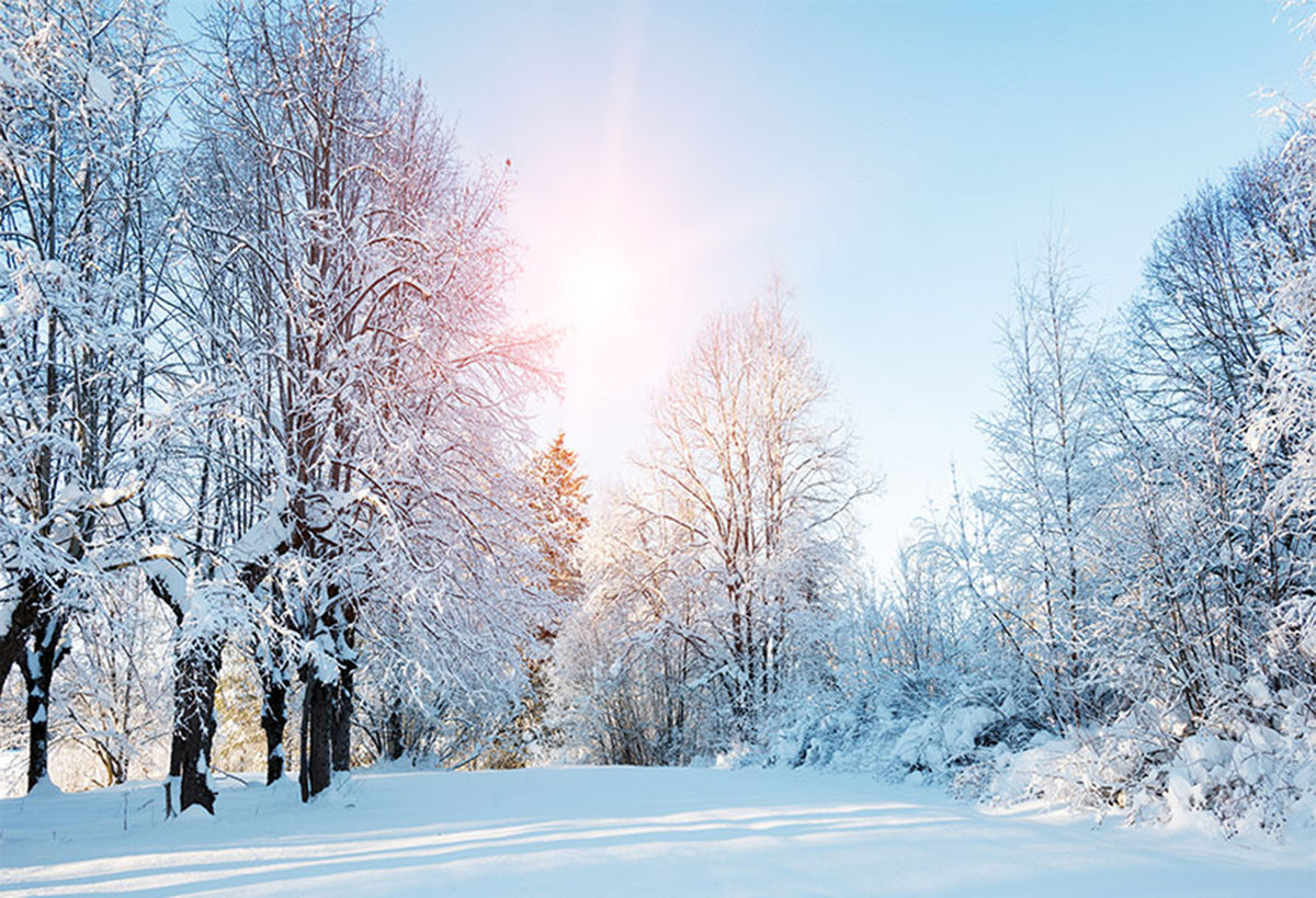 forest snow landscape photo backdrop winter snow road trees photography background interior decoration photo booth props Merry Xmas backdrops