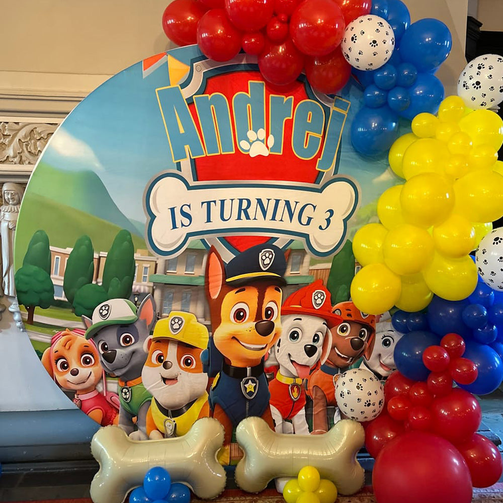 paw patrol