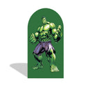 Custom Superhero Photo Backdrop Cover Arch Double Side Elastic Covers