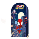 Customize Photo Background Arch Chiara Theme Background Double Side Elastic Cover