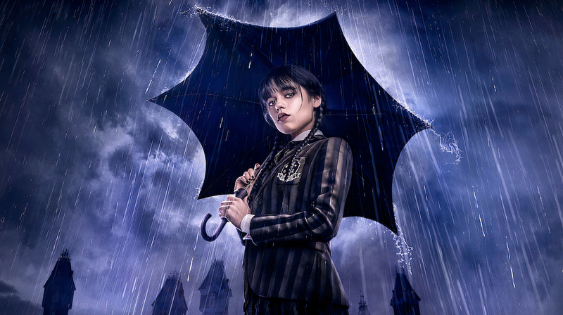 Mercredi Addams Photo toile de fond pluie fête d'anniversaire décor Ph –  dreamybackdrop