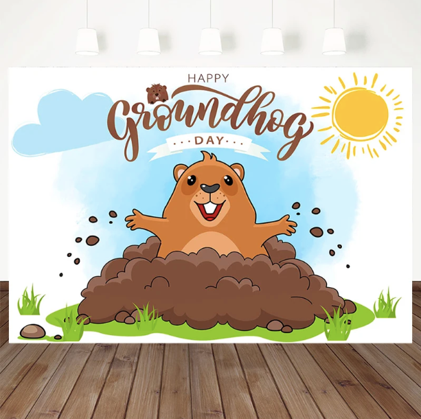 Custom Happy Groundhog Festival Background Cartoon Cute Sun Backdrop Photography Decoration