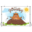 Custom Happy Groundhog Festival Background Cartoon Cute Sun Backdrop Photography Decoration