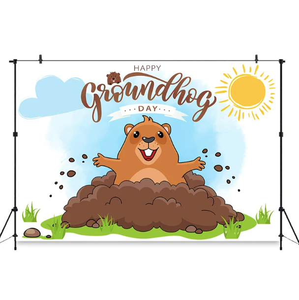Custom Happy Groundhog Festival Background Cartoon Cute Sun Backdrop Photography Decoration