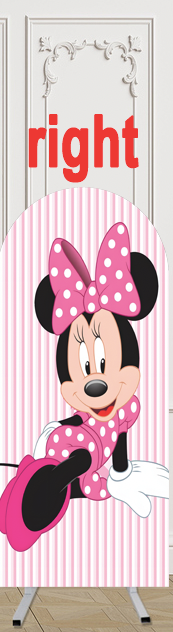 Customize Size Photo Background PinkGirls Birthday Party Cover Theme Arch Background Double Side Elastic Covers