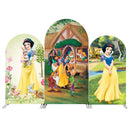 Custom Princess Arch Photo Backdrop Cover Girls Birthday Party Arch Double Side Elastic Covers