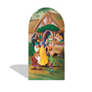 Custom Princess Arch Photo Backdrop Cover Girls Birthday Party Arch Double Side Elastic Covers