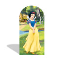 Custom Princess Arch Photo Backdrop Cover Girls Birthday Party Arch Double Side Elastic Covers