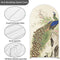 Customize Peacock Gazebo Party Photo Background Cover Arch Chiara Theme Background Different Double Side Elastic Covers
