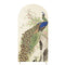 Customize Peacock Photo Background Birthday Arch Chiara Theme Background Double Side Elastic Covers