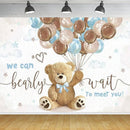 Customize Baby Shower Photo Backdrop Brown Bear Party Photography Backgrounds Banners