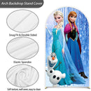 Customize Girls Birthday Photo Background Arch Chiara Theme Background Double Side Elastic Covers