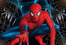 Custom Spiderman Photo Backdrop Banner