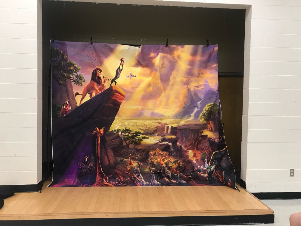 Custom The Lion King Simba Photo Backdrop Banner