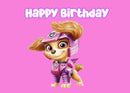 Customize Birthday Photo Backdrop Girls Pink Party Photography Backgrounds Banners