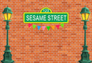 Custom Sesame Street Photo Backdrop Banner for kids
