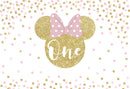 Custom Minnie Mouse 1st Birthday Photo Backdrop Banner