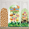 Custom Size Cartoon Party Arch Photo Background Cover Arch Background Double Side Elastic Covers