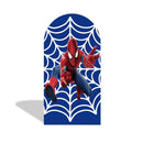 Customize Size Superhero Cartoon Photo Background Cover Arch Chiara Theme Background Double Side Elastic Covers