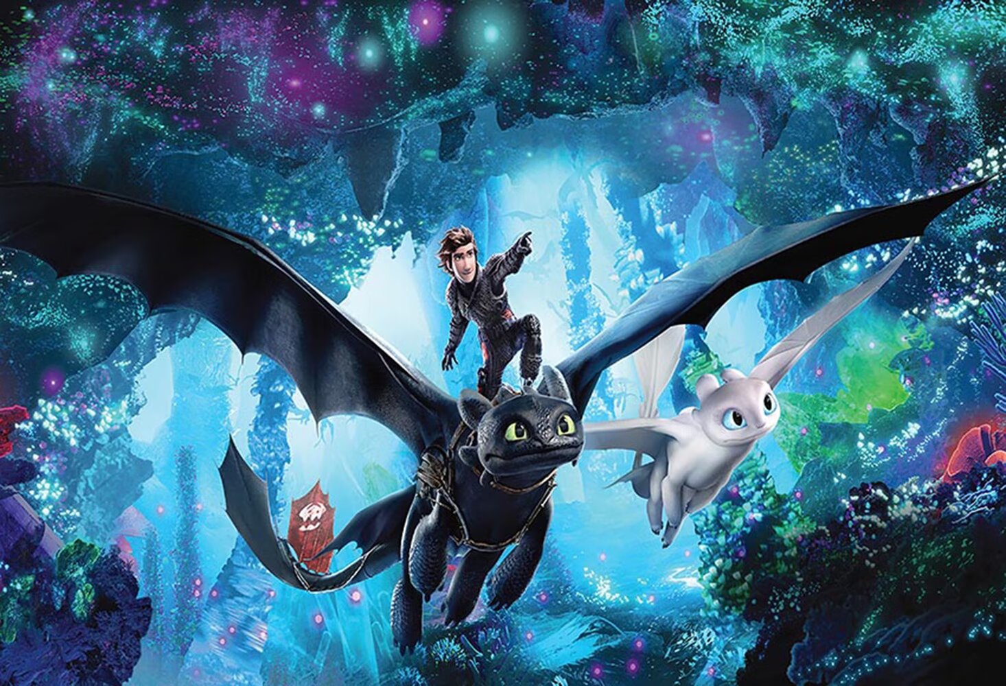 Custom How to Train Your Dragon Photo Backdrop Banner