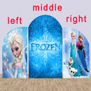 Frozen Photo Background Elsa Cover Theme Arch Background Double Side Elastic Covers