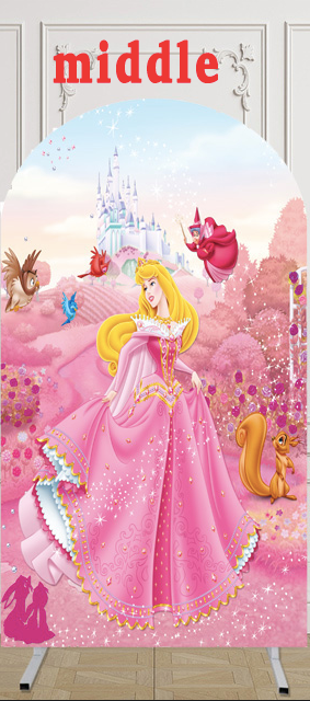 Arrière-plan de Photo de princesse pour filles, taille personnalisée, couverture de princesse, arrière-plan d'arc à thème, couvertures élastiques Double face 