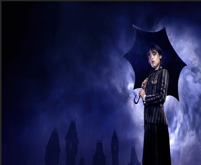 Wednesday Addams Photo Backdrop Birthday Party Decor Photo Studio Kids Photography Background