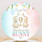 Boy and Girl Round Backdrops Bunny Party Circle Background Rabbit Girls Birthday Cake Table Banner Covers