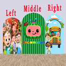 Custom Size Cartoon Melon Photo Background Cover Theme Arch Background Double Side Elastic Covers
