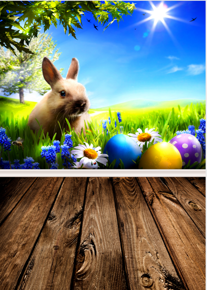 easter April spring backdrop Easter egg rabbit background for photography studio wooden floor child photo background vinyl