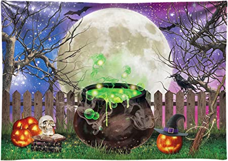 Halloween sorcière toile de fond magique Hallowmas Eve citrouilles assistant photographie fond horreur effrayant chaudron chauve-souris magique enfants fête 
