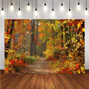 Fondos de fotografía de paisaje de otoño bosque de otoño fondo de fotografía amarillo escena de fondo fotográfico de estudio 