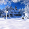 photography backdrops winter-snow backdrops-white snow background-cottage photo backdrop-snowflake photo background