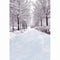 photography backdrops trees -frost backdrop- Snow backdrop -Snow Road photo backdrop- snow landscape background - photo booth props christmas -photo booth props winter scenery -photography backdrops 8x12 snow -photography backdrops winter snow
