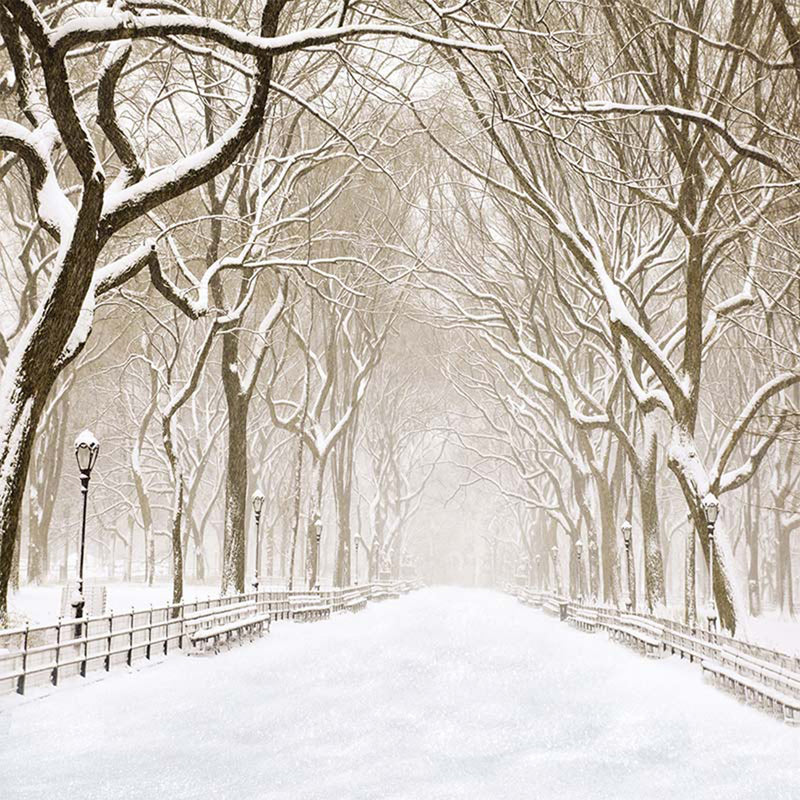 photography backdrops forest -Snow backdrop - Snow Road backdrop -Snow Wedding photo backdrop- snow landscape background - photo booth props christmas -photo booth props winter scenery -photography backdrops 8x12 snow -photography backdrops winter snow
