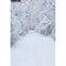 Fondos de fotografía de invierno fondos de fotografía de paisaje nevado vinilo fotográfico de invierno para fondos fotográficos