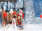 Christmas Winter Snow Scene Portrait Photography Backdrop Snowman Kids Children Portrait Photoshoot Background Pine Tree Shop