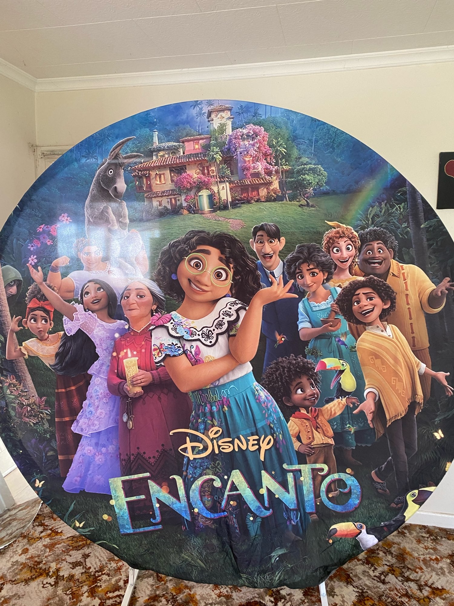 Encanto Princess Round Background Disney 