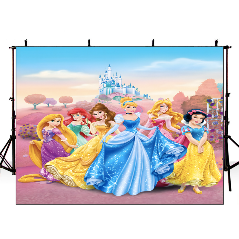 Princess Party Background Decors Girls Birthday Photo Backdrop Birthday Party Decor Backdrop Photo Studio