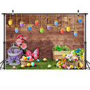 Easter Butterflies Portrait Background Spring Flowers Eggs Bunny Cake Smash Photo Backdrop Grass Brown Wood Shoot Studio Props