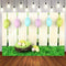 easter theme backdrop Easter egg spring background for photography studio home party decor photo background video vinyl
