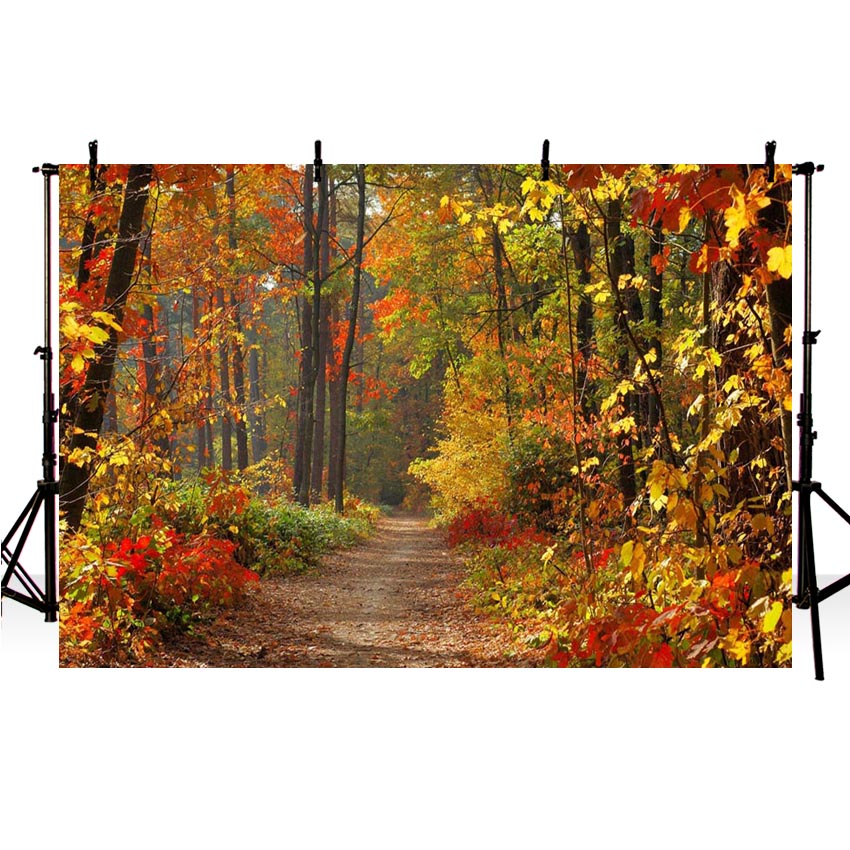 Autumn Landscape Photography Backgrounds Fall Forest Yellow Photo Background Studio Photographic Backdrops Scene