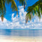 photo backdrop summer hawaiian photo booth props vinyl beach photography background hawaii luau 10x10ft large beach photo background tropical beach